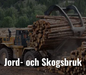 Jord- och skogsbruk